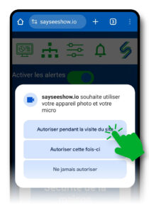 Màn hình cài đặt ứng dụng sayseeshow.io với điều khoản sử dụng