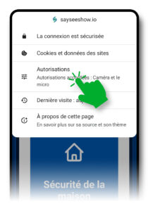 Menu cài đặt của trình duyệt đang mở trên trang sayseeshow.io